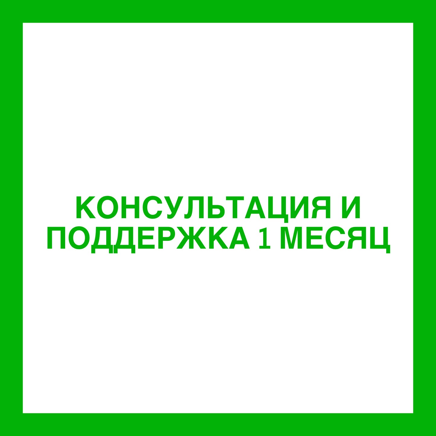 Консультация с сопровождением + поддержка в течение месяца
