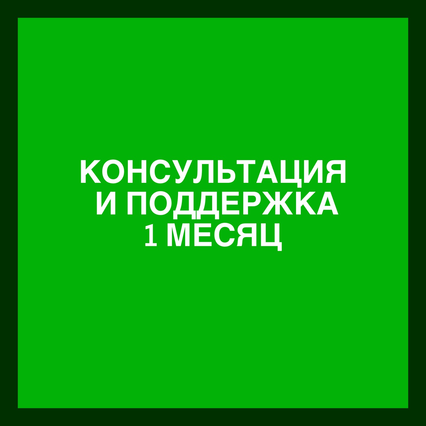 Консультация с сопровождением + поддержка в течение месяца